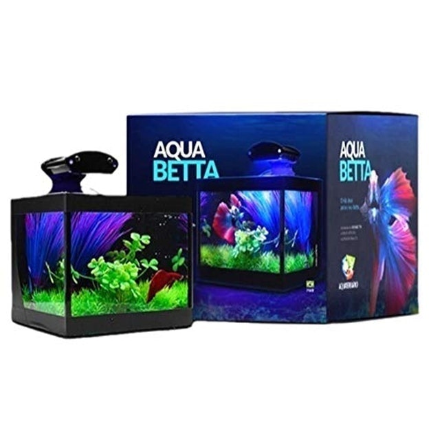 Top 10 Melhores Aquários para Betta (Aquaterrário, Boyu e mais) 1