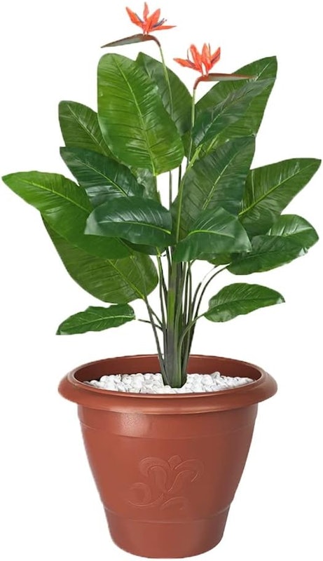 Vaso Redondo Grande Terracota 3