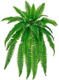 Top 10 Melhores Plantas Artificiais (Vila das Flores e mais) 3