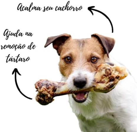 Osso Fêmur Suíno para Cachorros Petisco Natural Desidratado 3