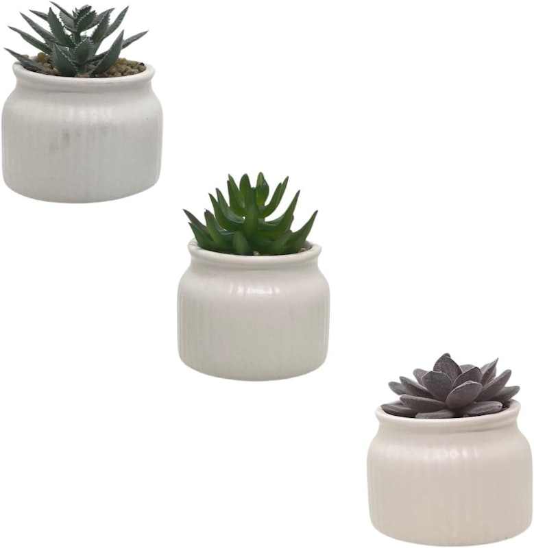 Conjunto de 3 Vasos em Cerâmica com Suculentas Artificiais 1