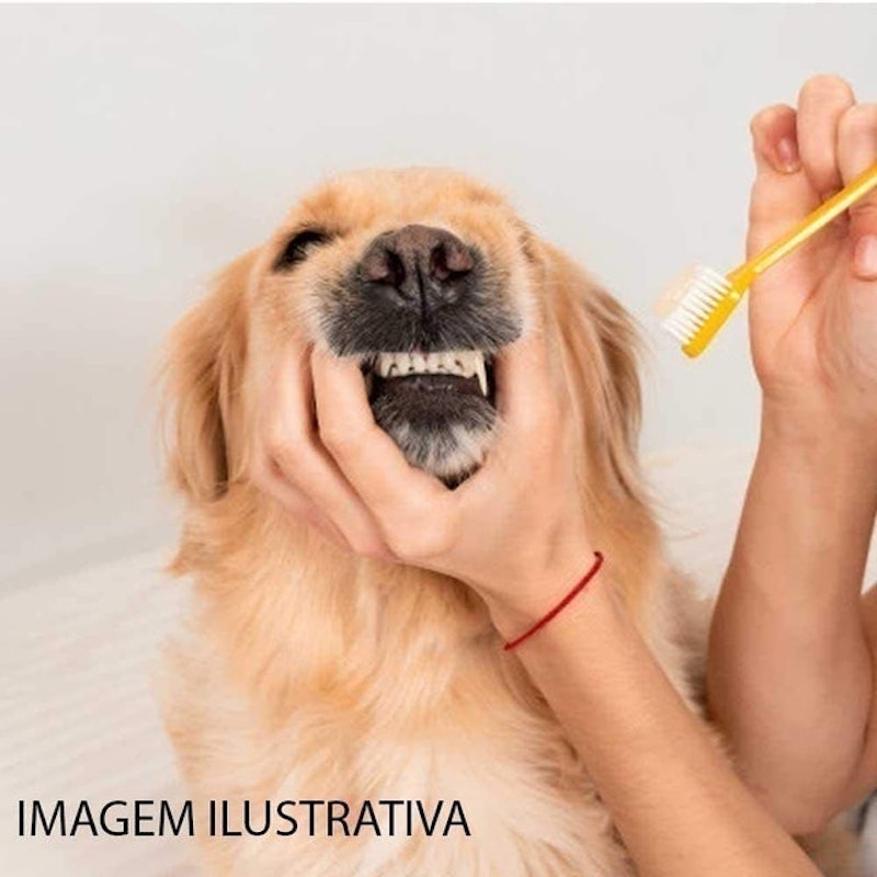 Escova Dental Western para Cães e Gatos 2