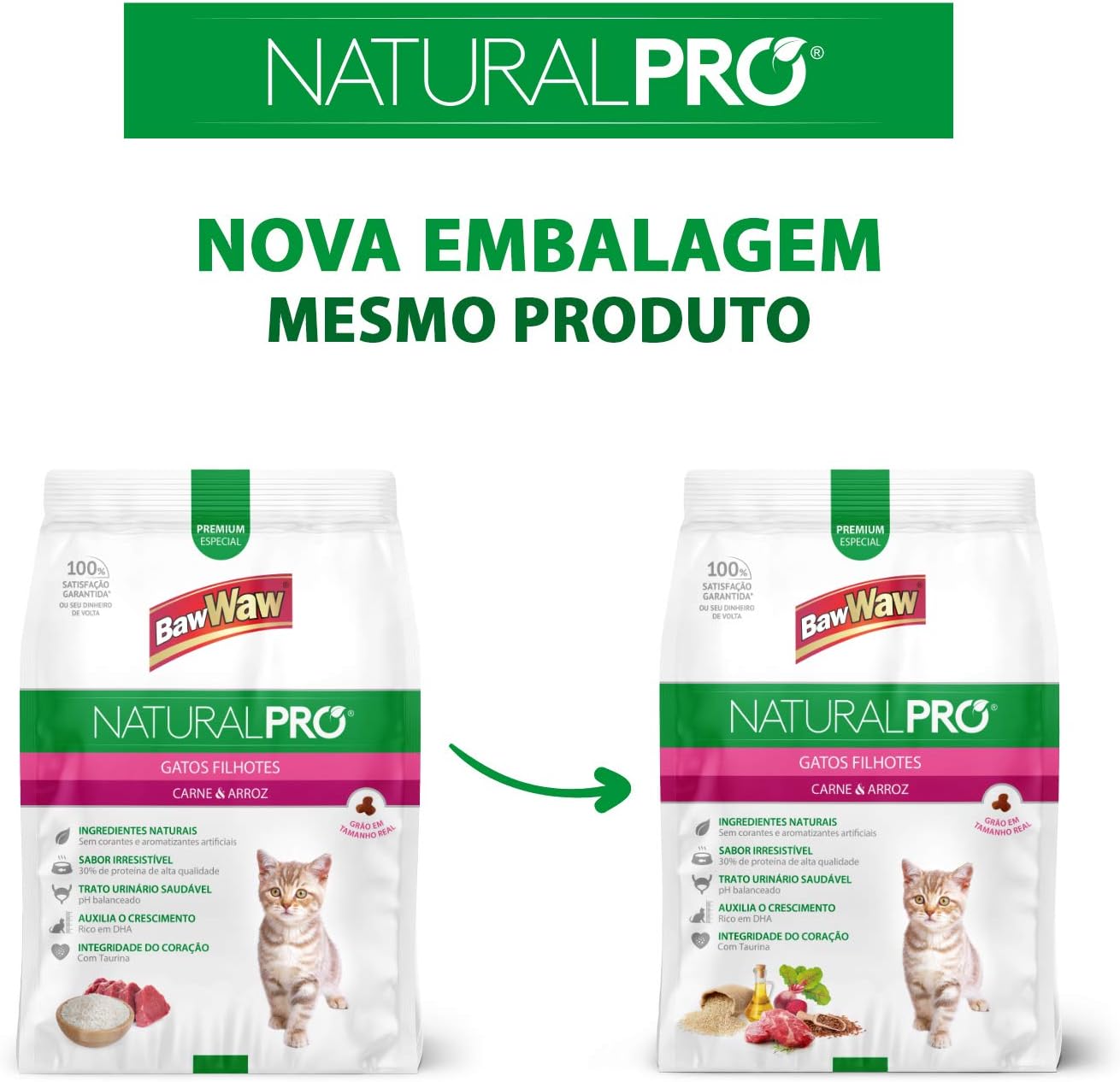 Natural Pro Gatos Filhotes 5