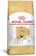 ROYAL CANIN Alimento Seco para Cães Pug Adult 1