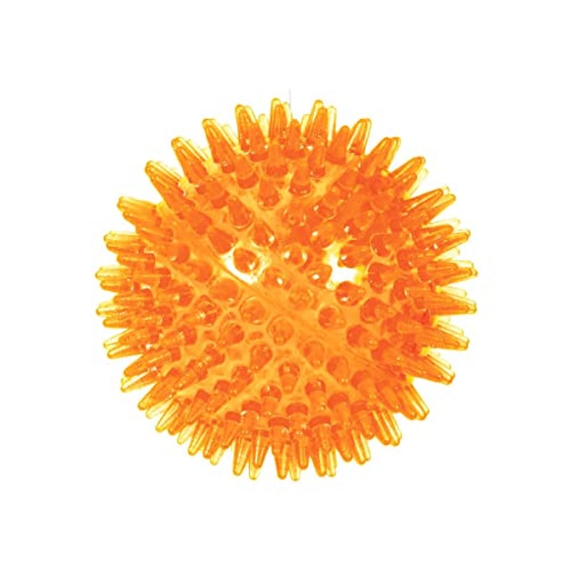 Bolinha para Cachorro com Espinhos Macios 3