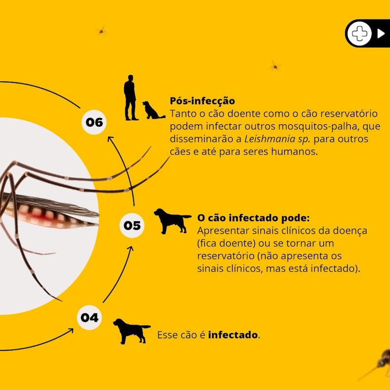 Coleira Antiparasitária para Cães Scalibor 4