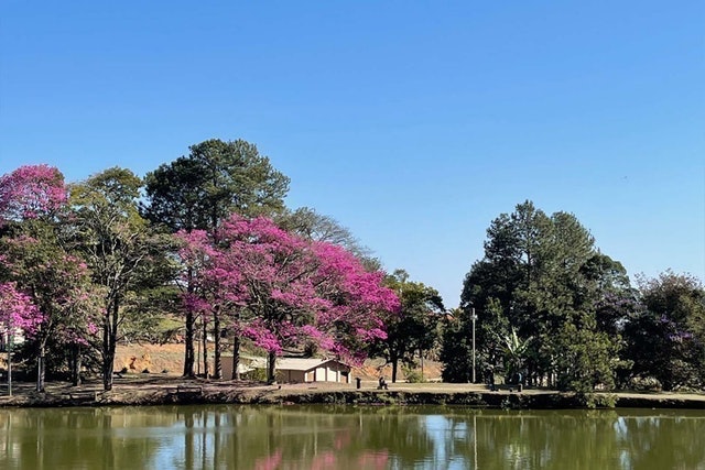 Hotel Fazenda São Matheus 3