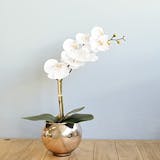 Top 10 Melhores Plantas Artificiais (Vila das Flores e mais) 1