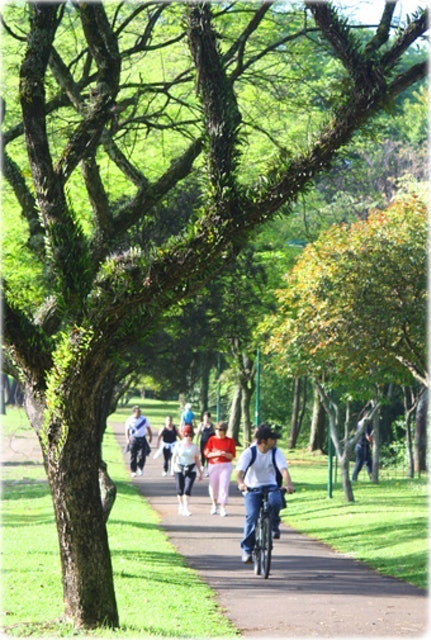 Top 10 Melhores Bairros de Curitiba em 2026 (Água Verde, Batel e mais) 5