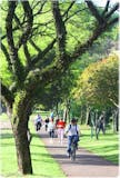 Top 10 Melhores Bairros de Curitiba em 2026 (Água Verde, Batel e mais) 5