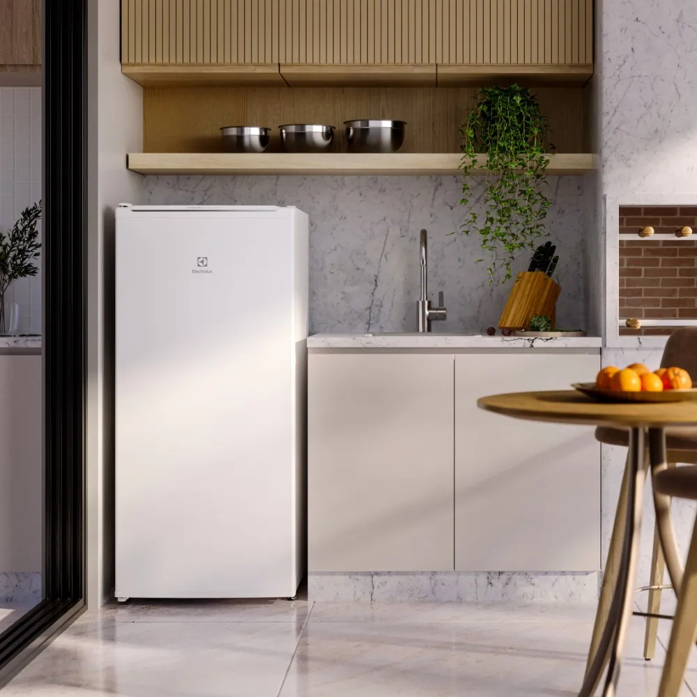 Freezer Vertical Cycle Defrost 162 L Inverter 4