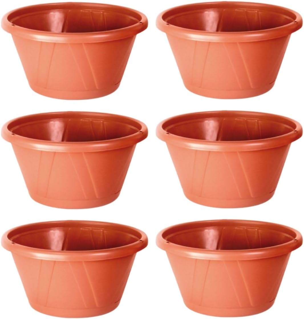 Top 10 Melhores Vasos para Rosa do Deserto  (Vasart e mais) 3