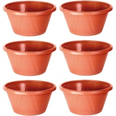 Kit 6 Vasos Cuia Nobre 01 com Prato