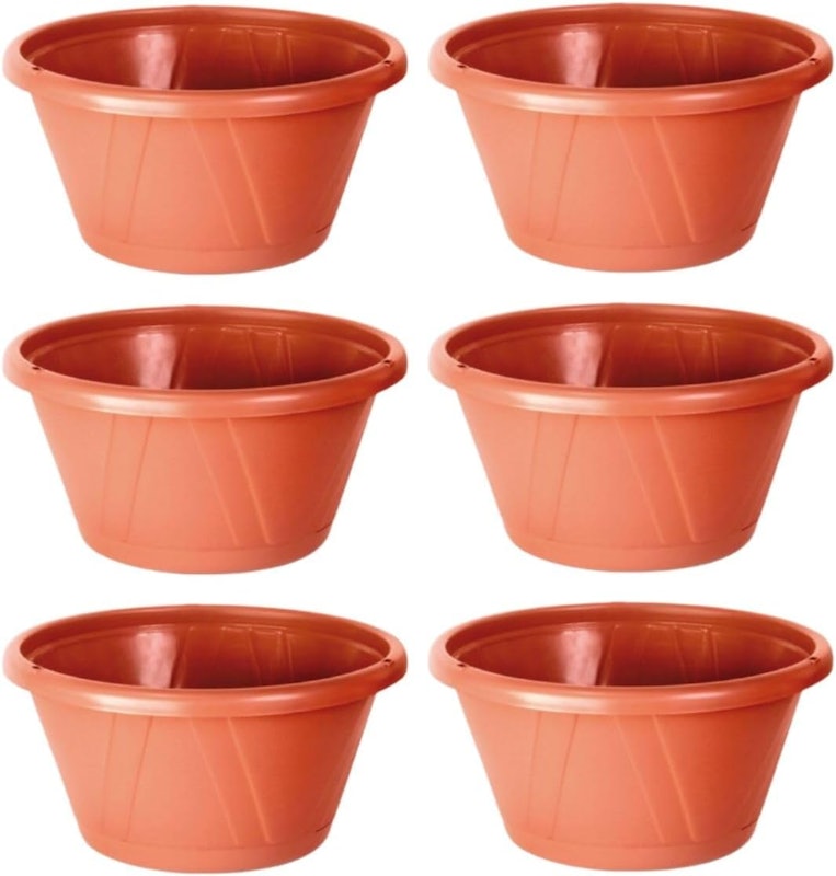 Kit 6 Vasos Cuia Nobre 01 com Prato 1