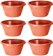 NUTRIPLAN Kit 6 Vasos Cuia Nobre 01 com Prato 1