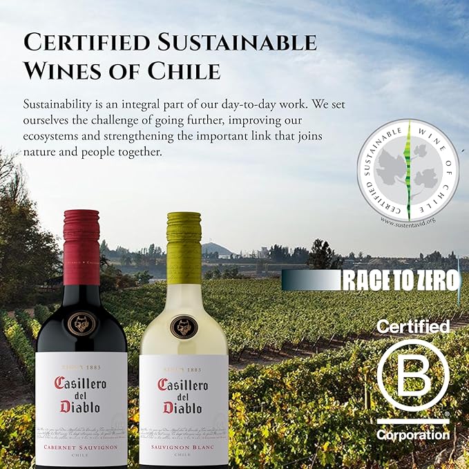 Casillero del Diablo Reserva Malbec 5