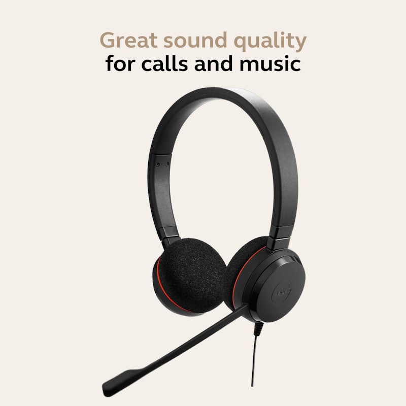 Evolve 20 Stereo / Mono 2