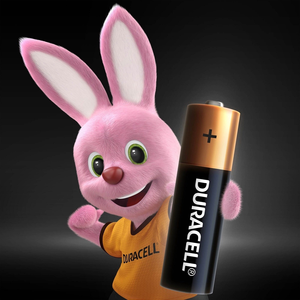 Pilhas AA Alcalinas Duracell 4