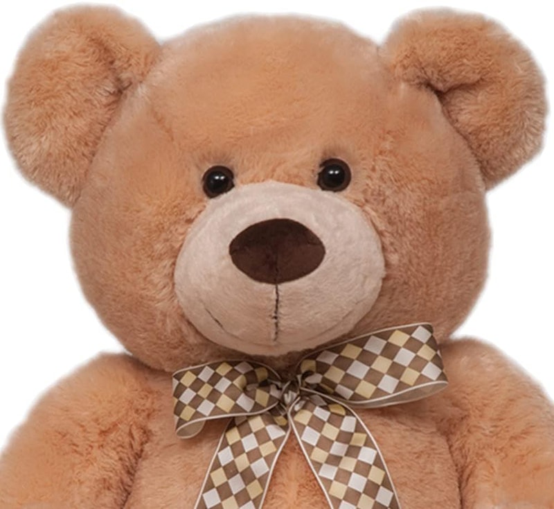 Urso de Pelúcia James 2