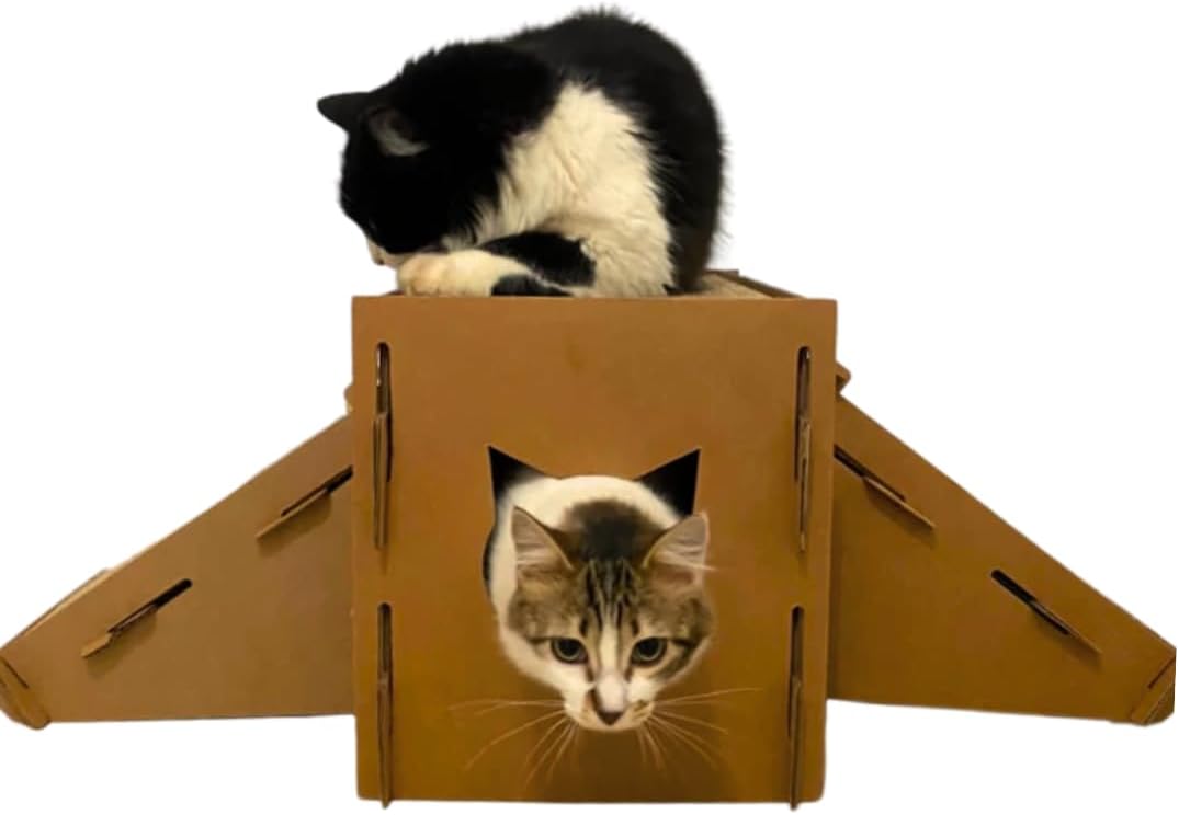Arranhador para Gatos com Dupla Rampa 2