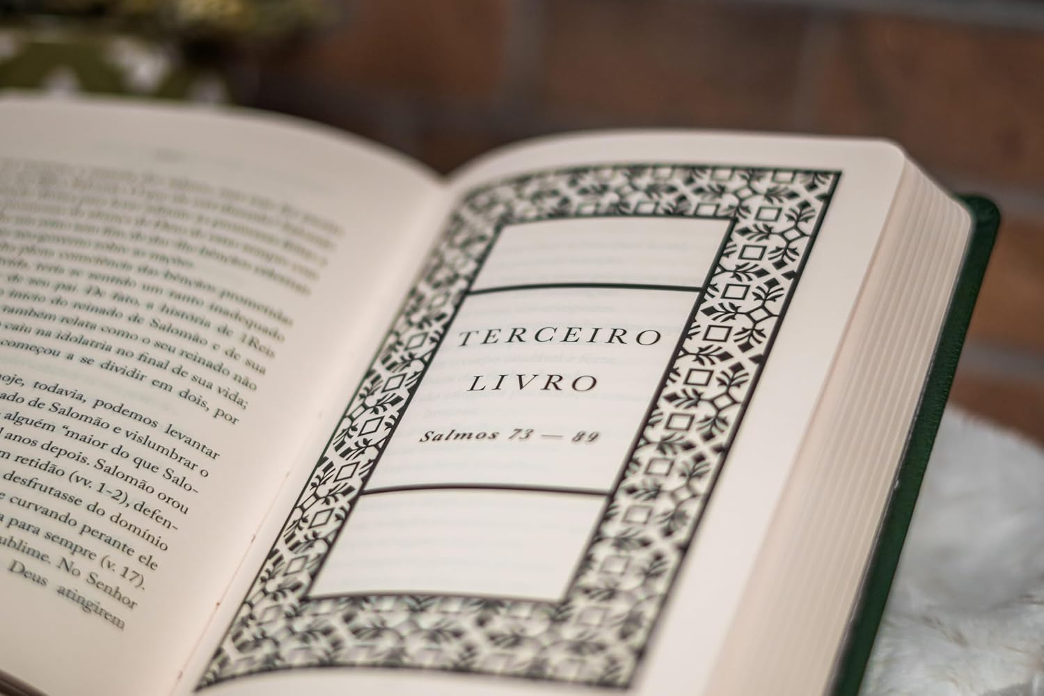 No Senhor me Refugio: 150 Devocionais Diários nos Salmos 4