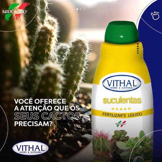 Fertilizante Vithal Líquido Suculentas 3