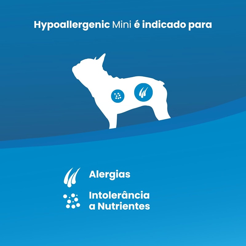 Hypoallergenic Mini Canine 5