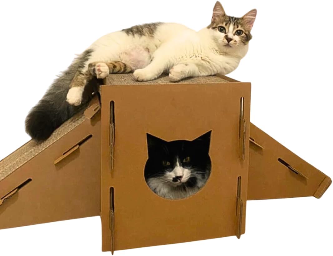 Arranhador para Gatos com Dupla Rampa 3