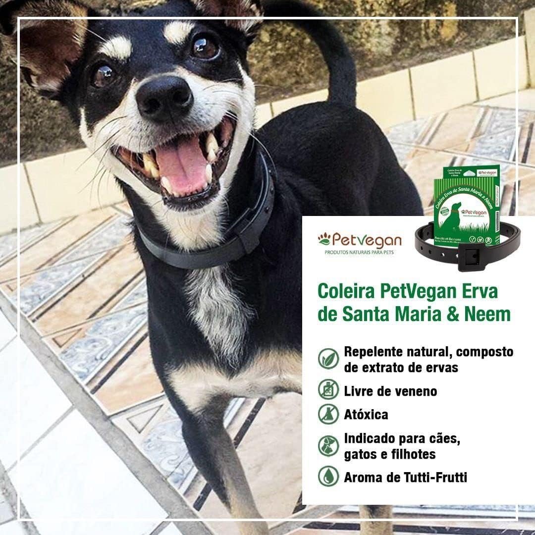 Coleira Erva de Santa Maria & Neem 3