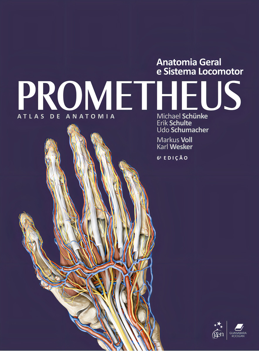 Top 10 Melhores Atlas de Anatomia  (Netter, Sobotta e mais) 1