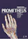 Michael Schünke, Erik Schulte e Udo Schumacher Prometheus | Coleção - Atlas de Anatomia 3 Volumes 1