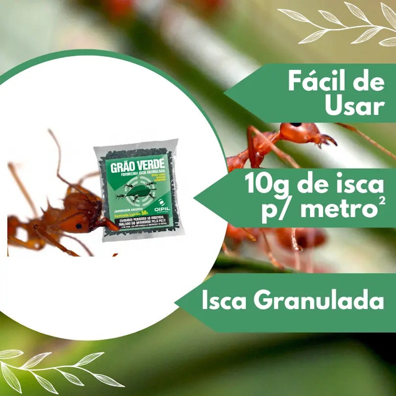 Formicida Isca Granulada Grão Verde 2