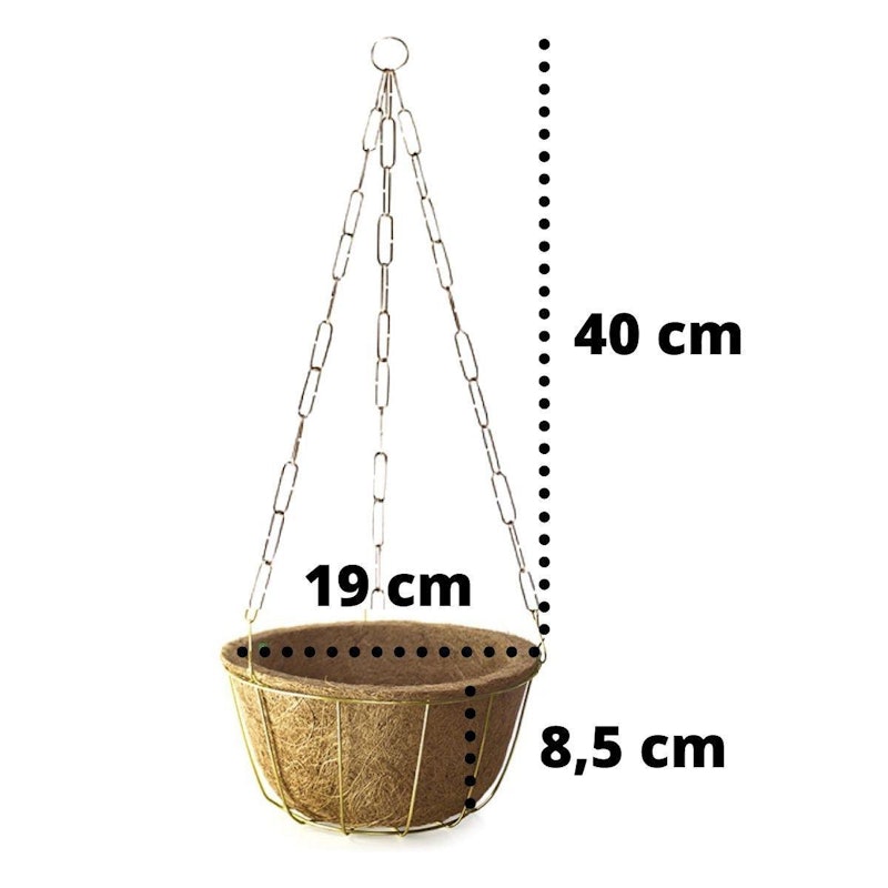 Kit Cuia Nutricoco Pequena 3