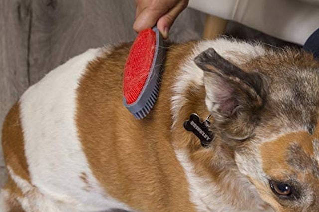 Escova para Cachorro FURemover Duo 5