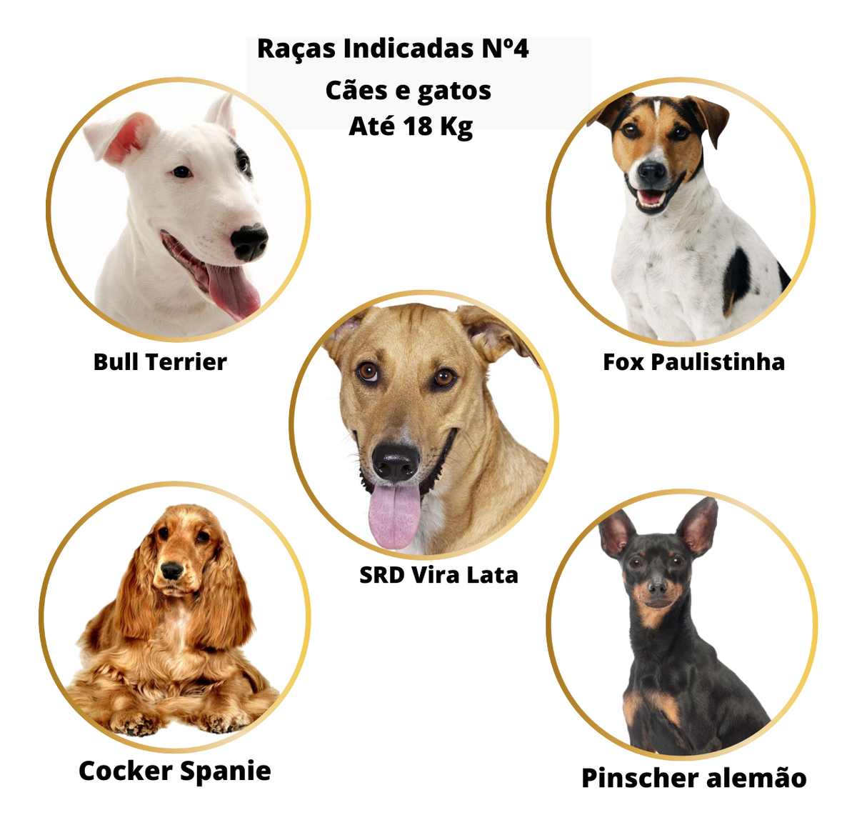 Caixa de Transporte Pet Nº4 até 18 kg 3