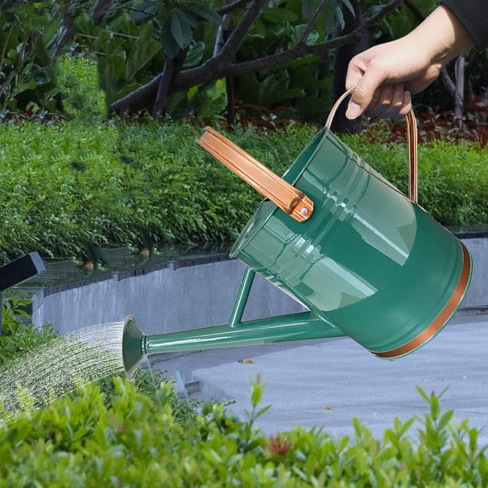 Regador de Aço Galvanizado para Plantas 4