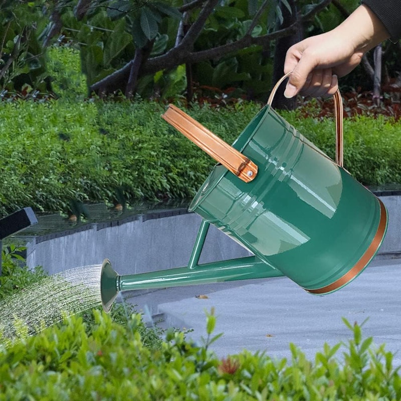 Regador de Aço Galvanizado para Plantas 4