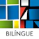 A&H SOFTWARE Dicionário Português e Inglês 1