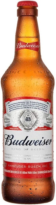 Cerveja Budweiser 1