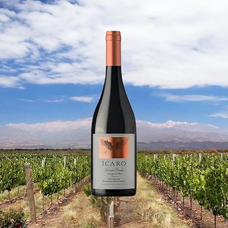 Ícaro Selección Privada Tempranillo 2