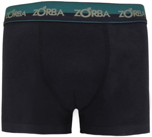 Kit 10 Cuecas Zorba Boxer Max Algodão 702 2