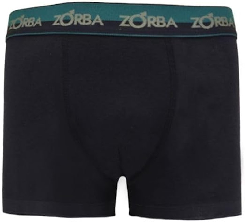 Kit 10 Cuecas Zorba Boxer Max Algodão 702 2