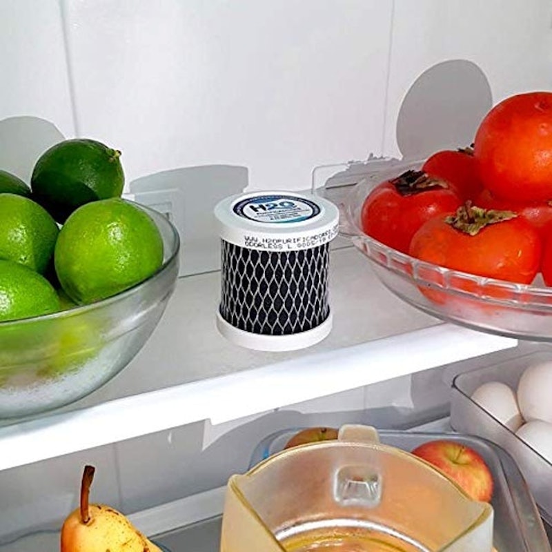 Carvão para Geladeira Odorless H2O Purificadores 3