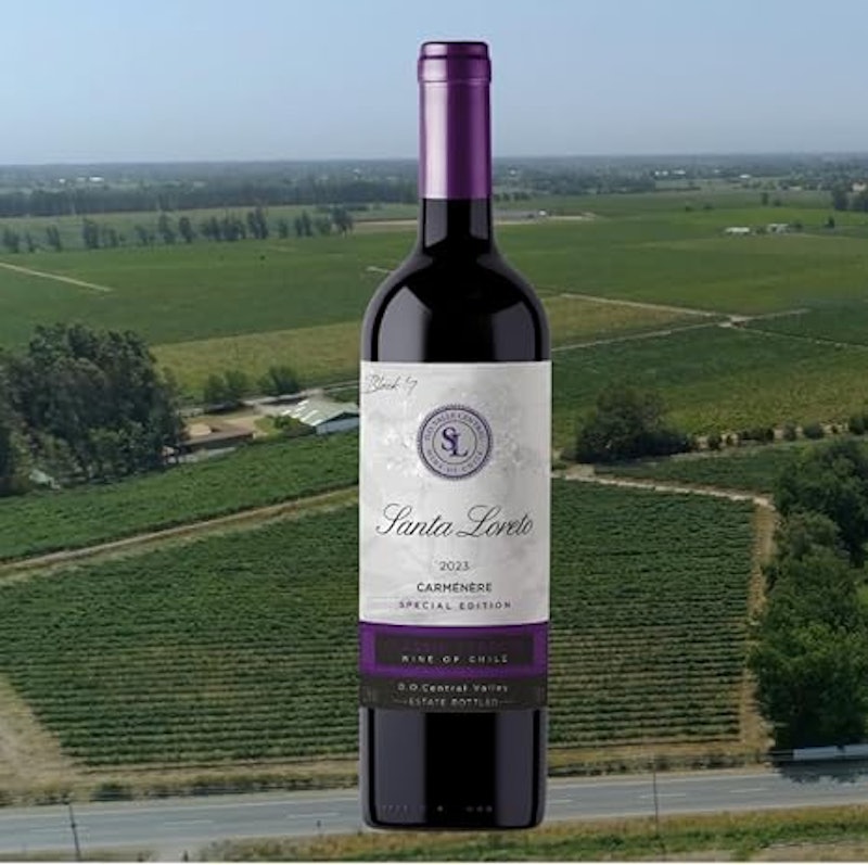 Vinho Fino Tinto Chileno Carménère Special Edition 5