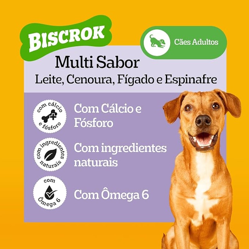 Biscrok Adulto Multi Sabor 3