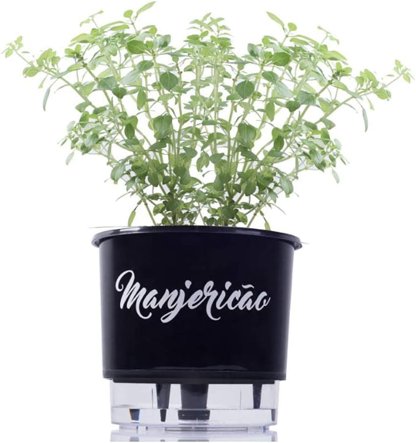 Vaso Autoirrigável 03 Médio 16 x 14 cm - Gourmet Manjericão 1