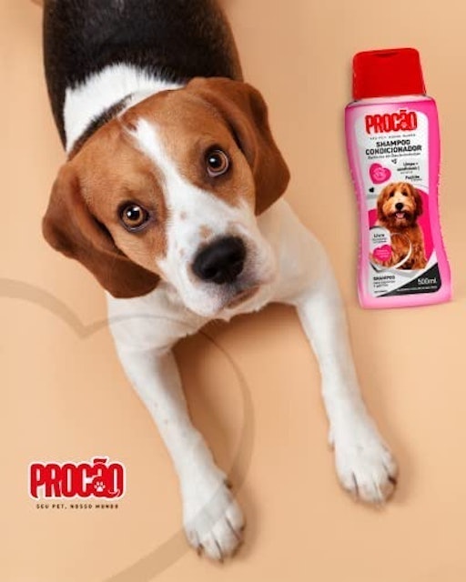 Shampoo e Condicionador Procão 3