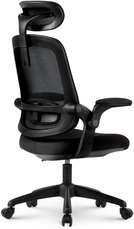 Cadeira Ergonômica Astra  5