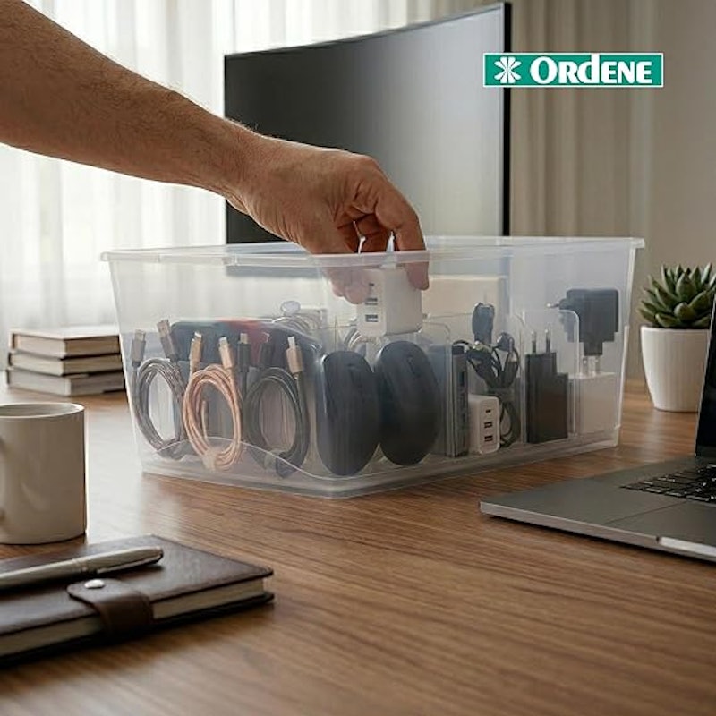 Organizador com Tampa 15 L 3