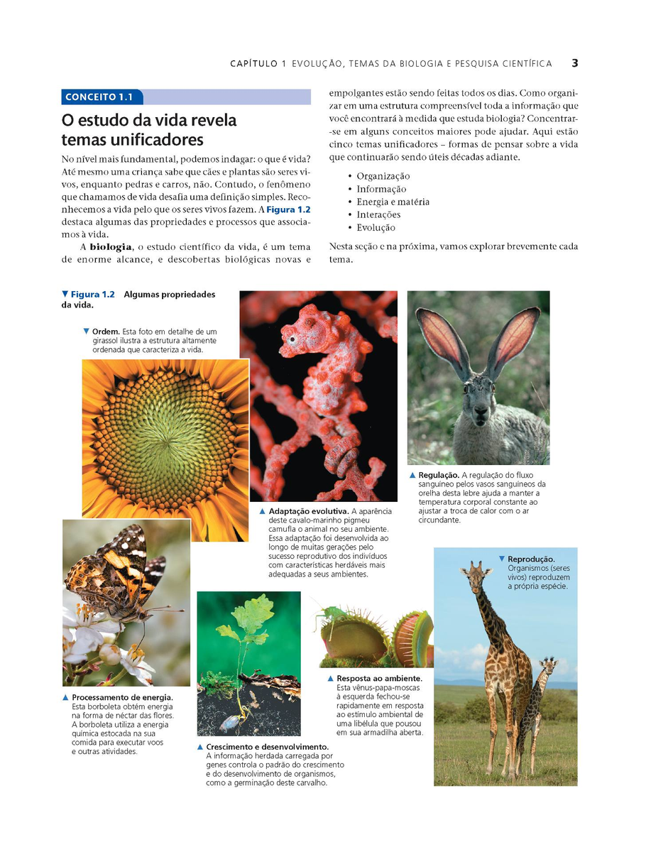 Biologia de Campbell  3